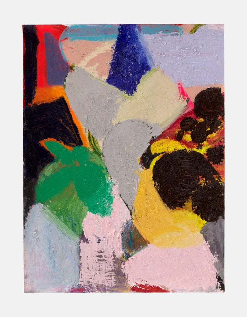 Liliane Tomasko, ANIMA, 2026