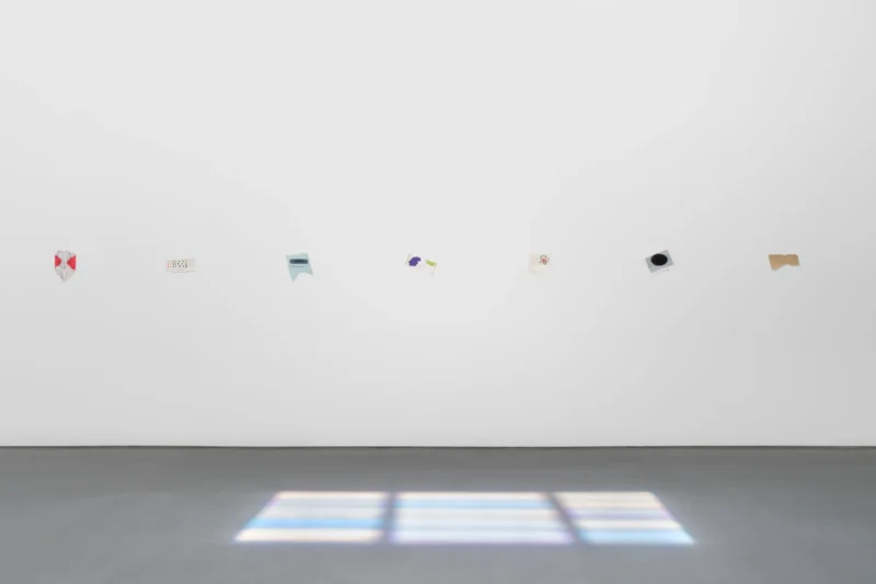 Installation shot from Spencer Finch: Balboa of House and Garden, @ Lisson Gallery