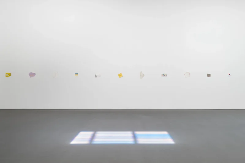 Installation shot from Spencer Finch: Balboa of House and Garden, @ Lisson Gallery