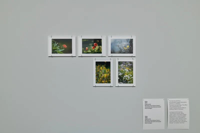 Installation shot from Jacques Henri Lartigue: Life in Colour, @ MK Gallery