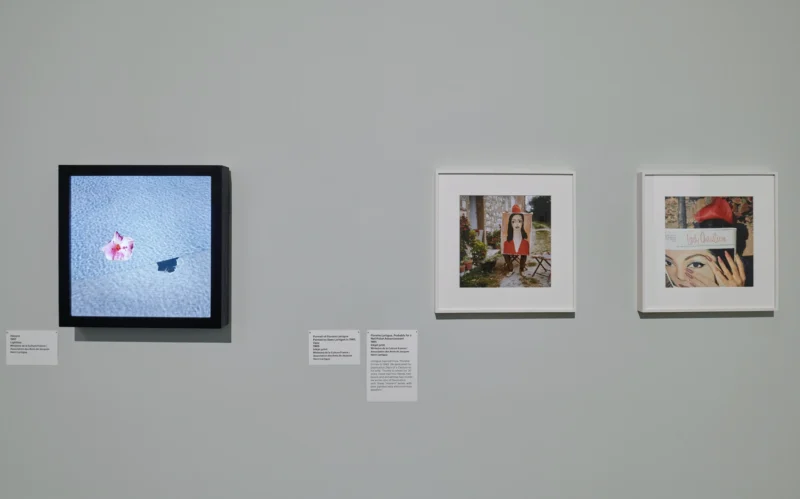 Installation shot from Jacques Henri Lartigue: Life in Colour, @ MK Gallery