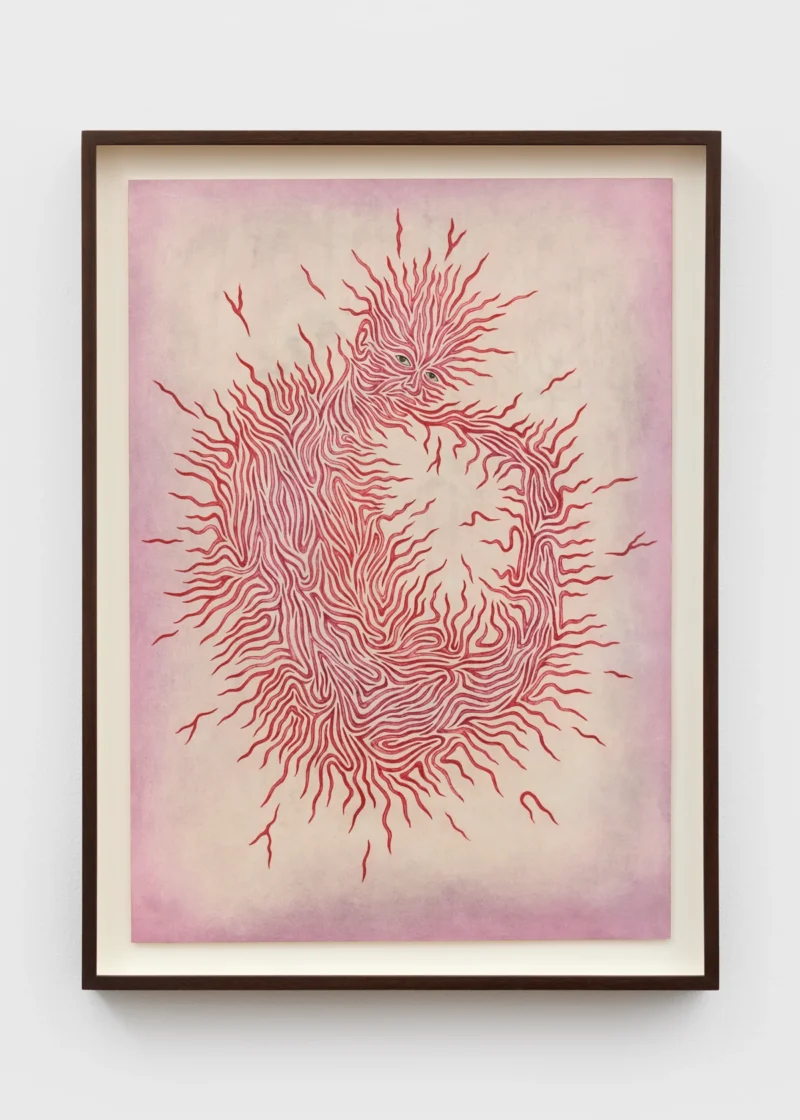 Felipe Baeza, soft dissent, 2025