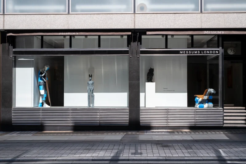 Installation shot from Totemic, @ Messums Org