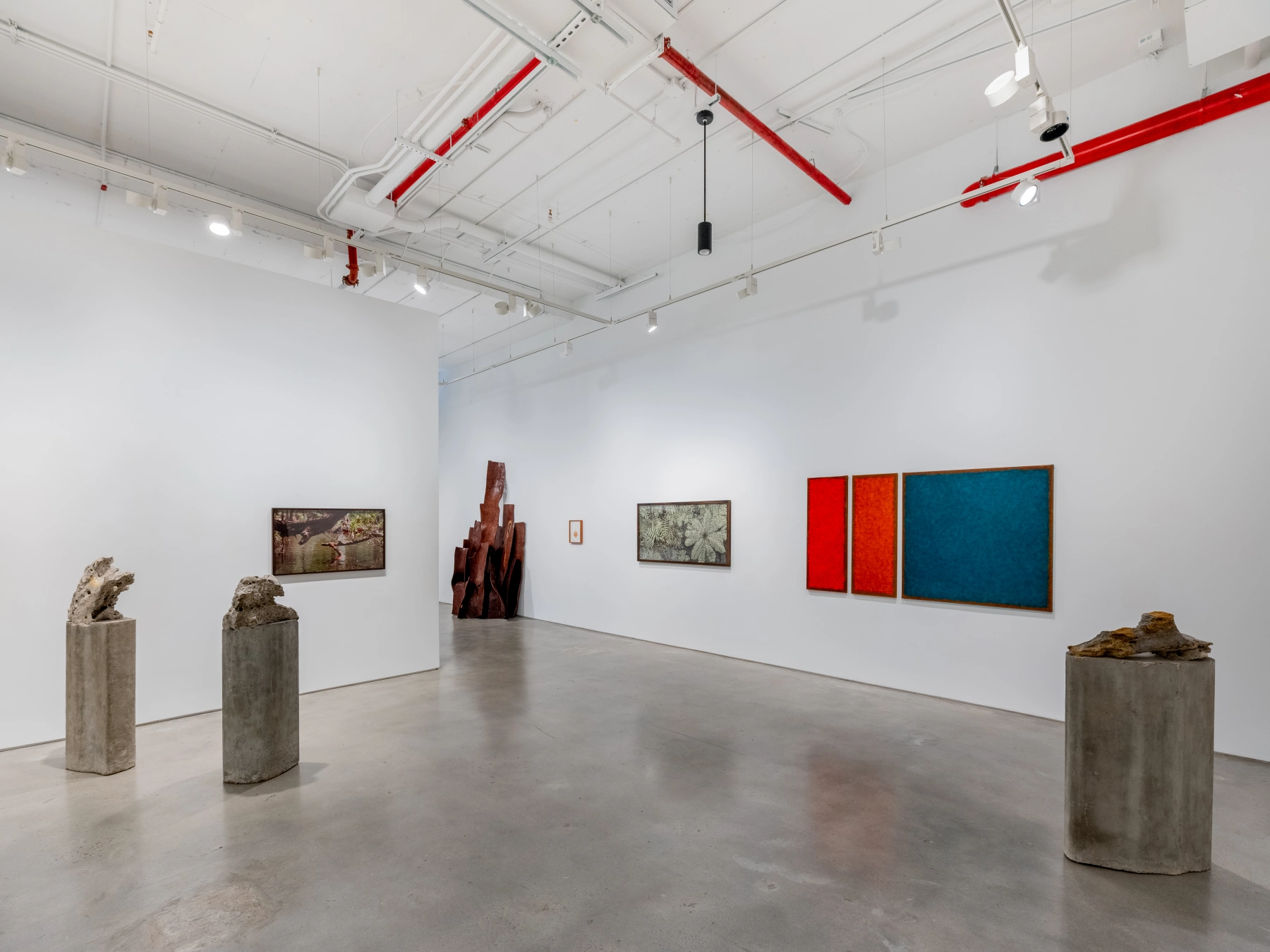 Image for Mirroring Nature, at Nara Roesler
