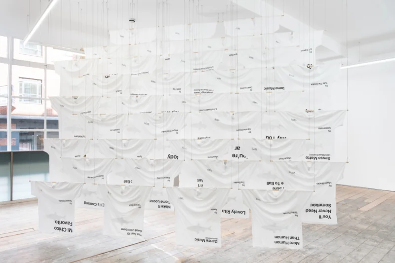 Installation shot from Appau Jnr Boakye-Yiadom: Patent 3306x, @ NıCOLETTı