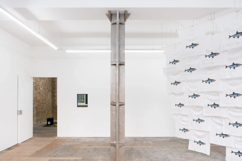 Installation shot from Appau Jnr Boakye-Yiadom: Patent 3306x, @ NıCOLETTı