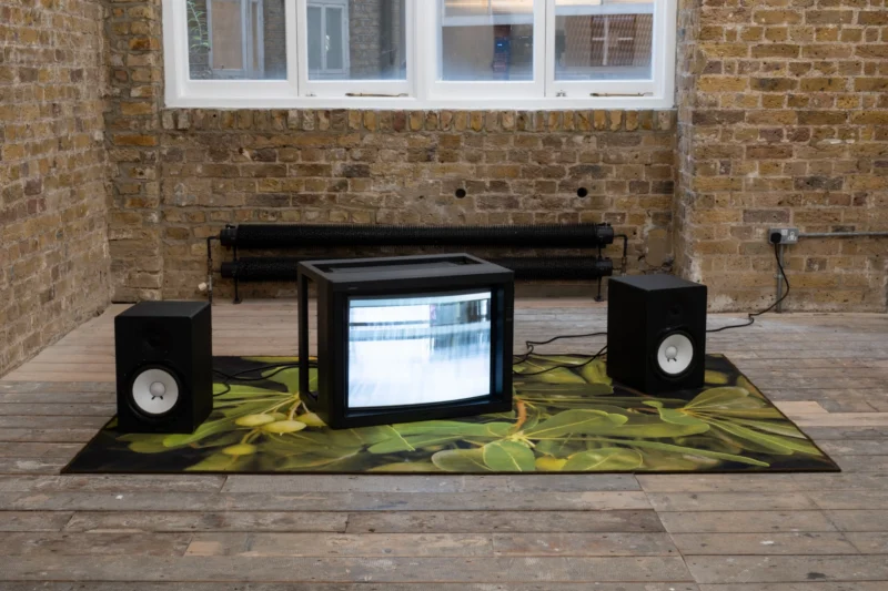 Installation shot from Appau Jnr Boakye-Yiadom: Patent 3306x, @ NıCOLETTı