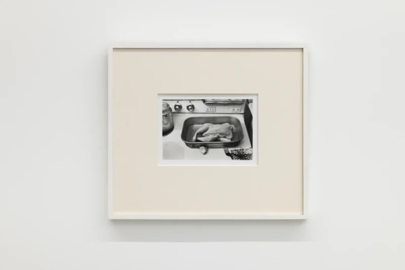 Robert Gober, Untitled (Uncooked Chicken), 1977/1994