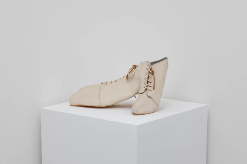 Han Feng, Shoe for Ostrich II, 2012