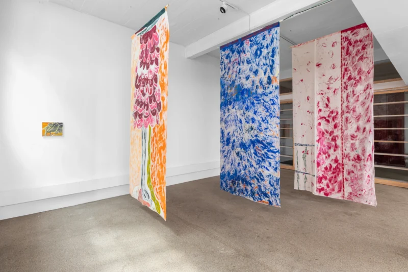 Installation shot from Charlotte Winifred Guérard: Cherry, cherry, @ Palmer Gallery