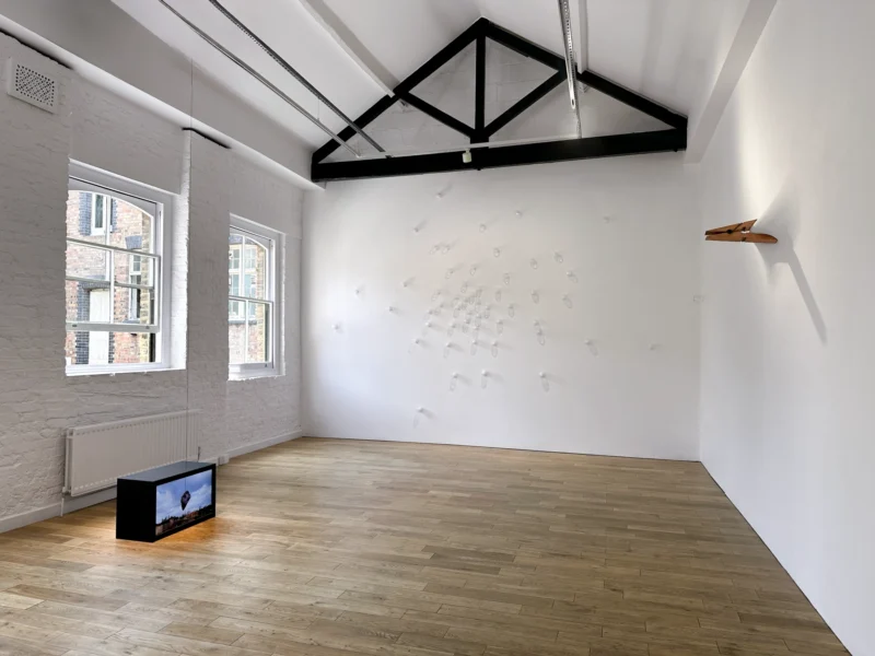 Installation shot from Mehmet Ali Uysal: Skin, @ Pi Artworks
