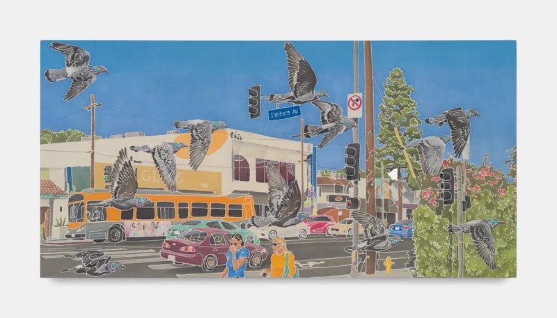 Adam de Boer, Pigeons in Silverlake, 2024