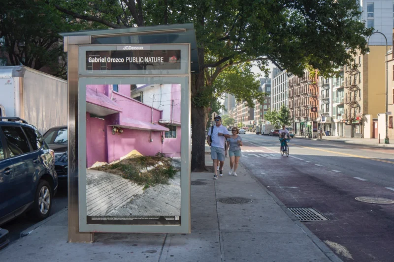 Installation shot from Gabriel Orozco: Public Nature, @ Public Art Fund