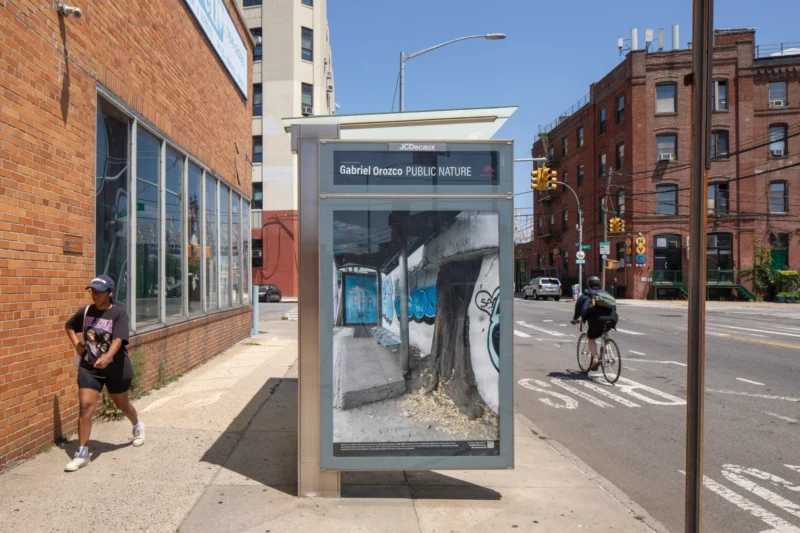 Installation shot from Gabriel Orozco: Public Nature, @ Public Art Fund