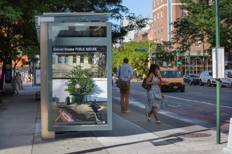 Installation shot from Gabriel Orozco: Public Nature, @ Public Art Fund