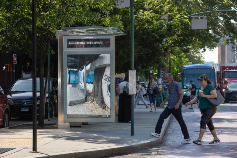Installation shot from Gabriel Orozco: Public Nature, @ Public Art Fund