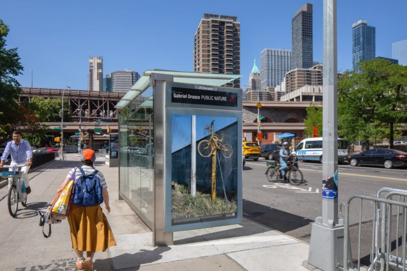 Installation shot from Gabriel Orozco: Public Nature, @ Public Art Fund