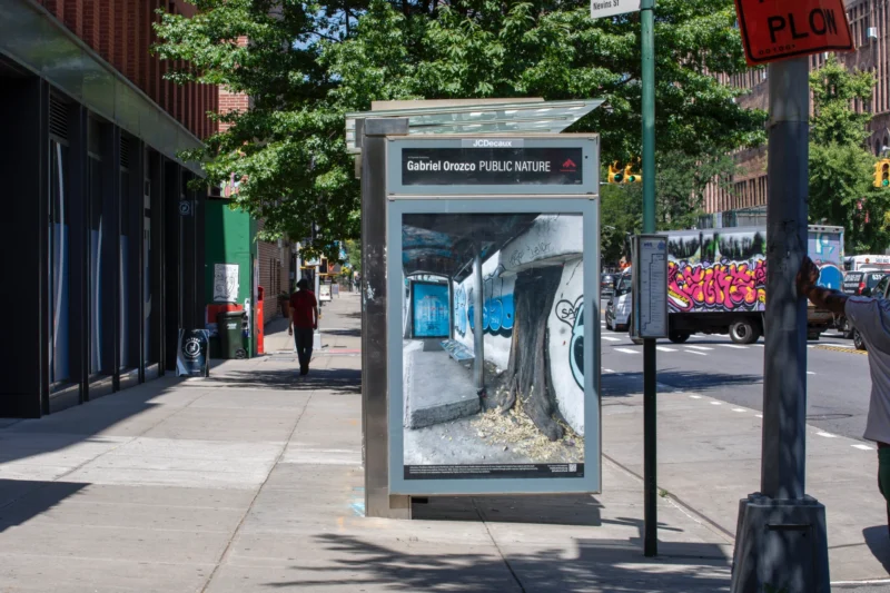 Installation shot from Gabriel Orozco: Public Nature, @ Public Art Fund