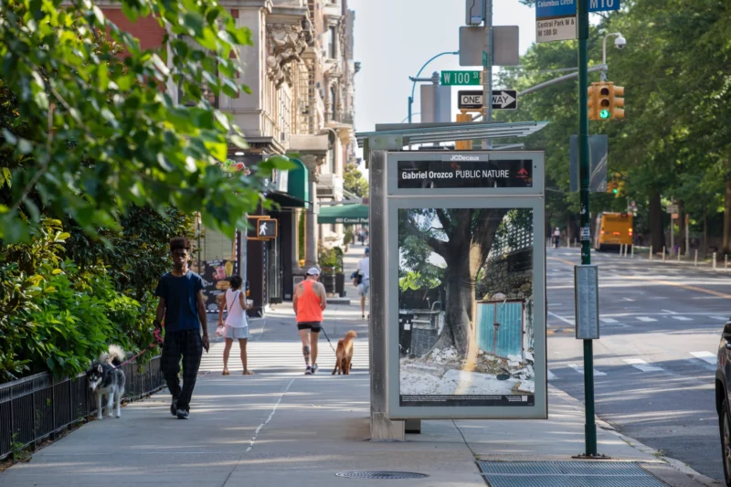 Installation shot from Gabriel Orozco: Public Nature, @ Public Art Fund