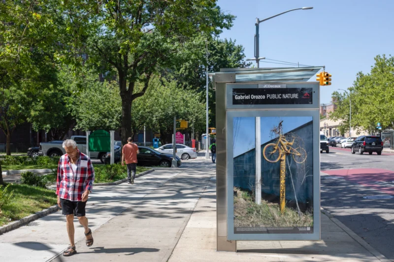 Installation shot from Gabriel Orozco: Public Nature, @ Public Art Fund