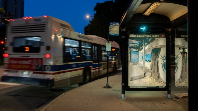 Installation shot from Gabriel Orozco: Public Nature, @ Public Art Fund