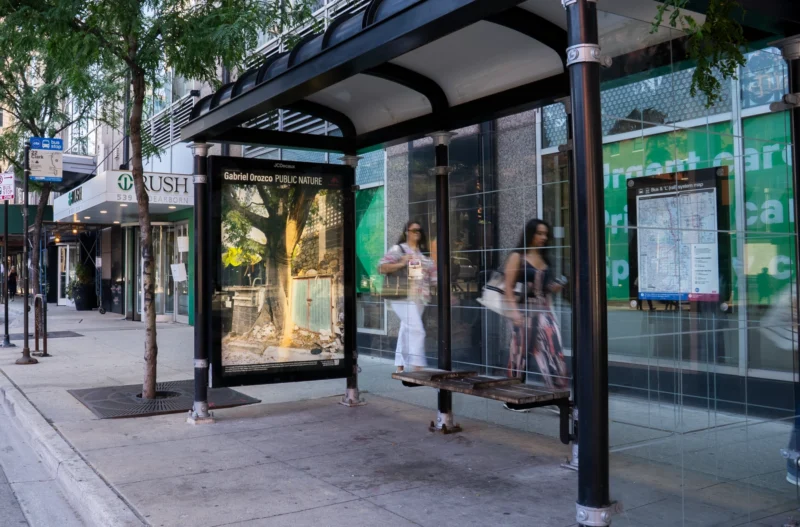 Installation shot from Gabriel Orozco: Public Nature, @ Public Art Fund
