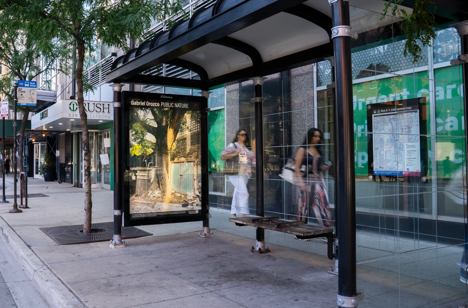 Image for Gabriel Orozco: Public Nature, at Public Art Fund in Chicago