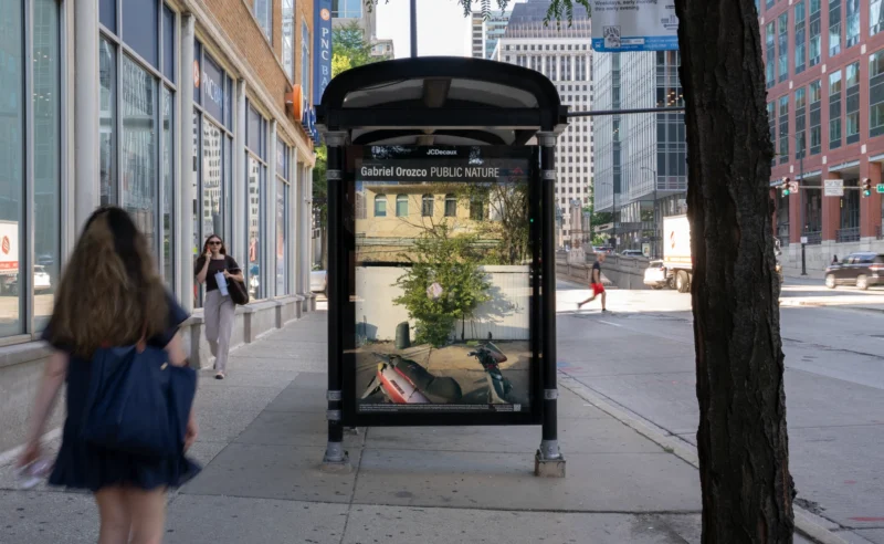 Installation shot from Gabriel Orozco: Public Nature, @ Public Art Fund