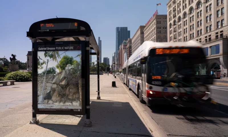 Installation shot from Gabriel Orozco: Public Nature, @ Public Art Fund