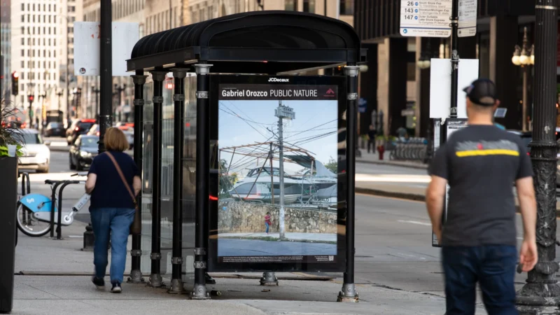 Installation shot from Gabriel Orozco: Public Nature, @ Public Art Fund