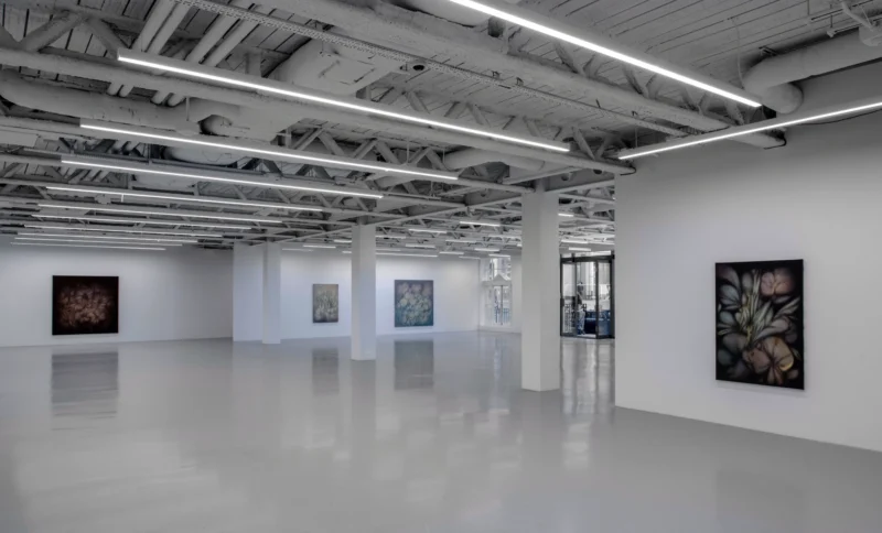 Installation shot from Miramar Al Nayyar, @ Saatchi Yates