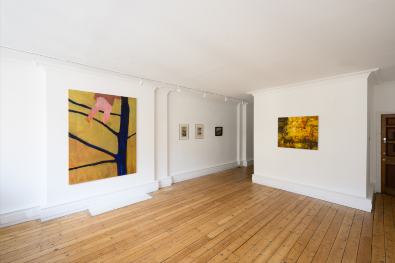 Installation shot from Neither Here Nor There, @ General Assembly