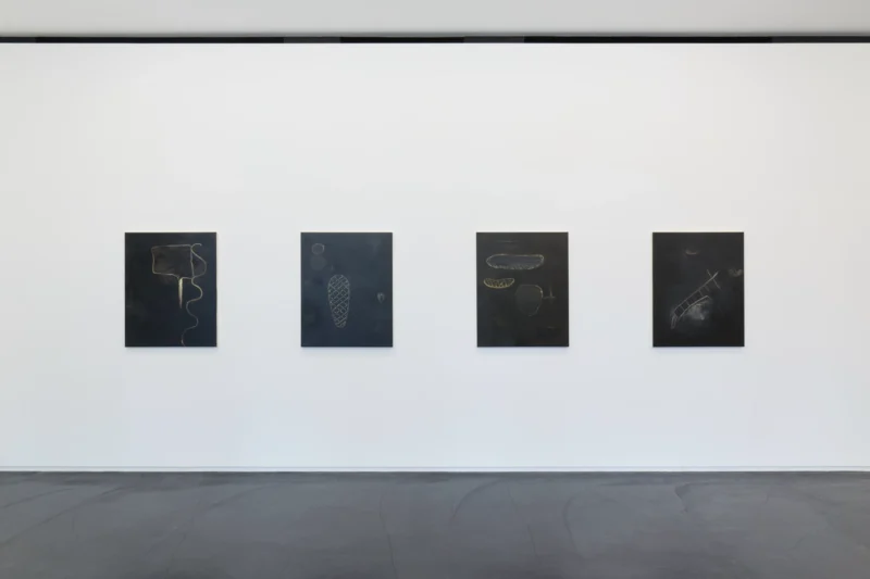 Installation shot from Tomoo Gokita: Lush Life, @ Taka Ishii Gallery