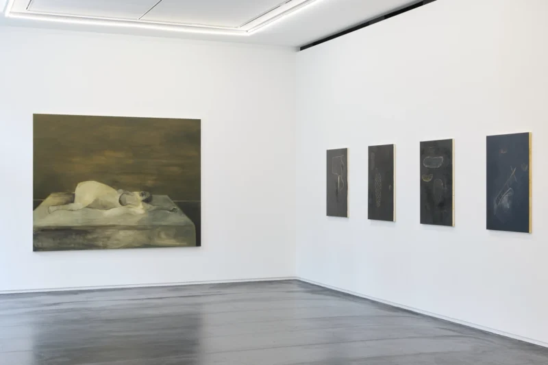 Installation shot from Tomoo Gokita: Lush Life, @ Taka Ishii Gallery