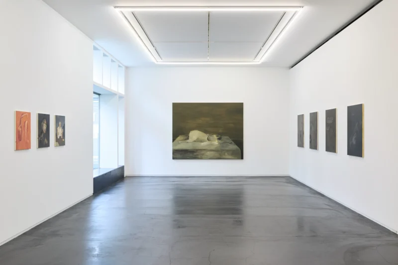 Installation shot from Tomoo Gokita: Lush Life, @ Taka Ishii Gallery