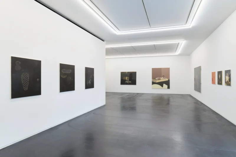 Installation shot from Tomoo Gokita: Lush Life, @ Taka Ishii Gallery