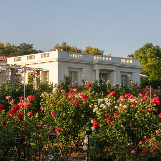 Image for , at Huntington Library