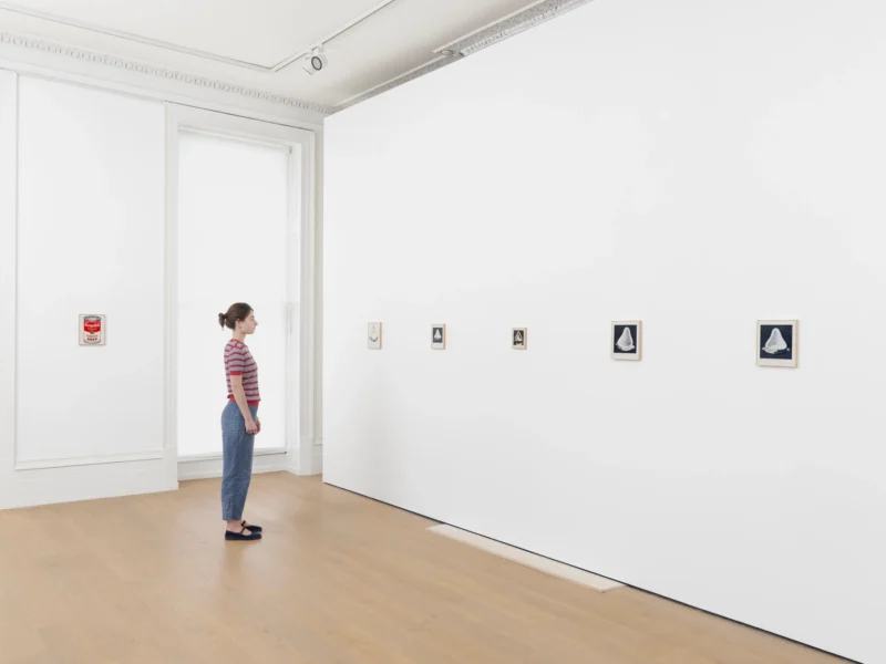 Installation shot from Richard Pettibone, @ Timothy Taylor