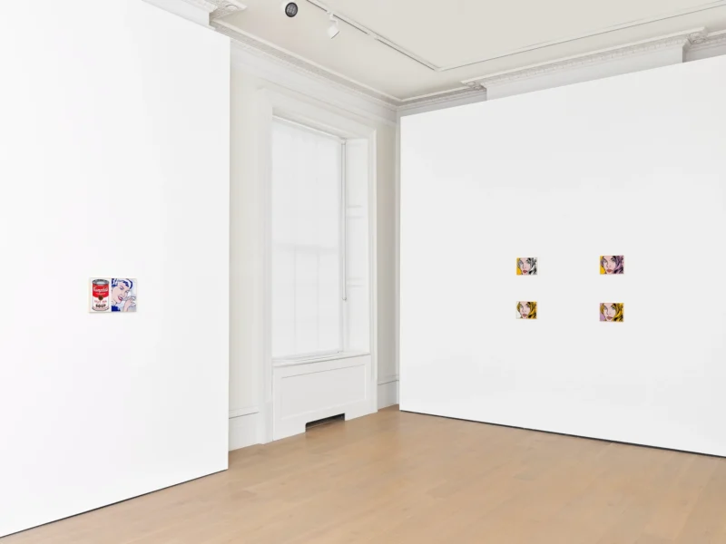 Installation shot from Richard Pettibone, @ Timothy Taylor