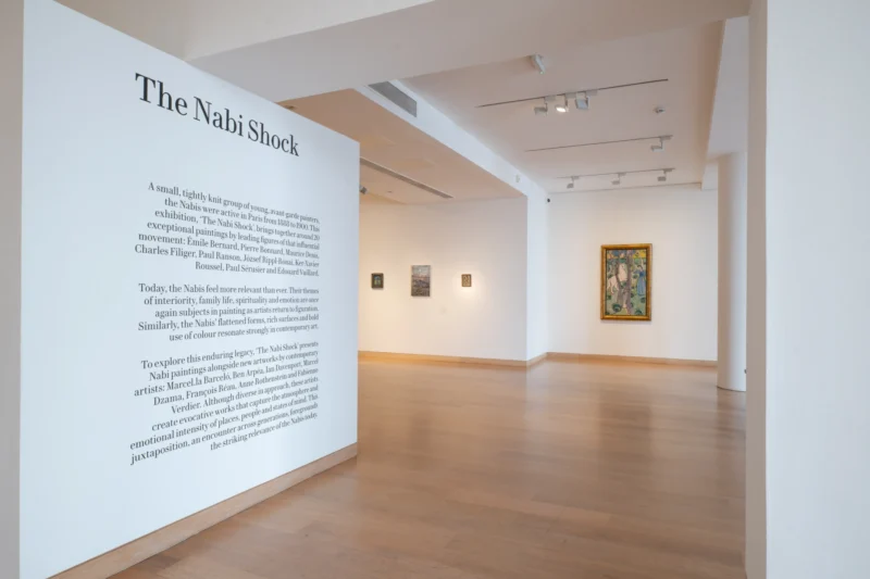 Installation shot from The Nabi Shock, @ Waddington Custot