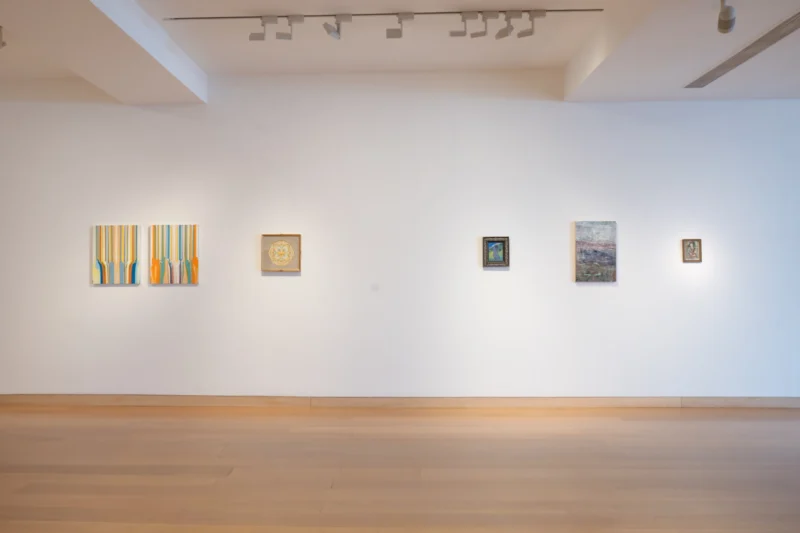 Installation shot from The Nabi Shock, @ Waddington Custot
