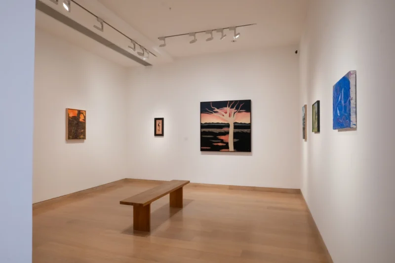 Installation shot from The Nabi Shock, @ Waddington Custot