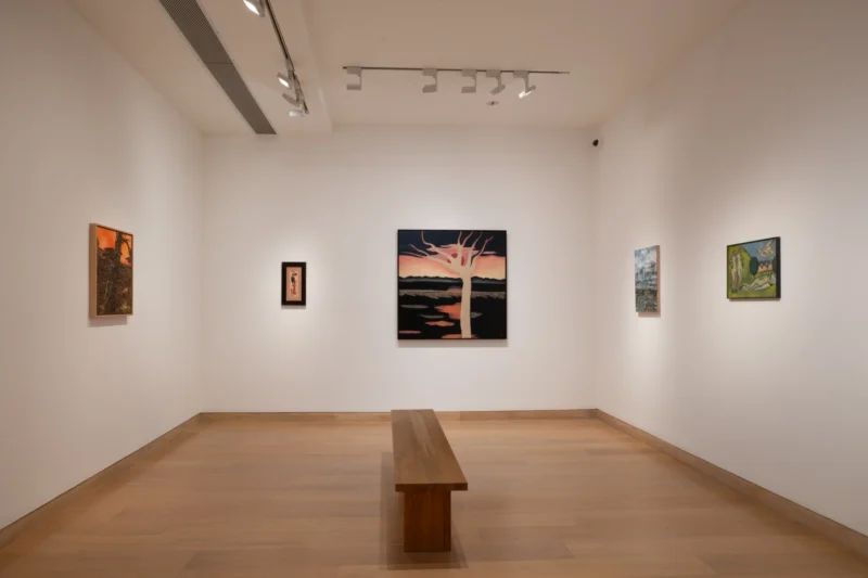 Installation shot from The Nabi Shock, @ Waddington Custot