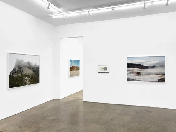 Manifest and Sublime @Yancey Richardson Gallery, New York  - GalleriesNow.net 