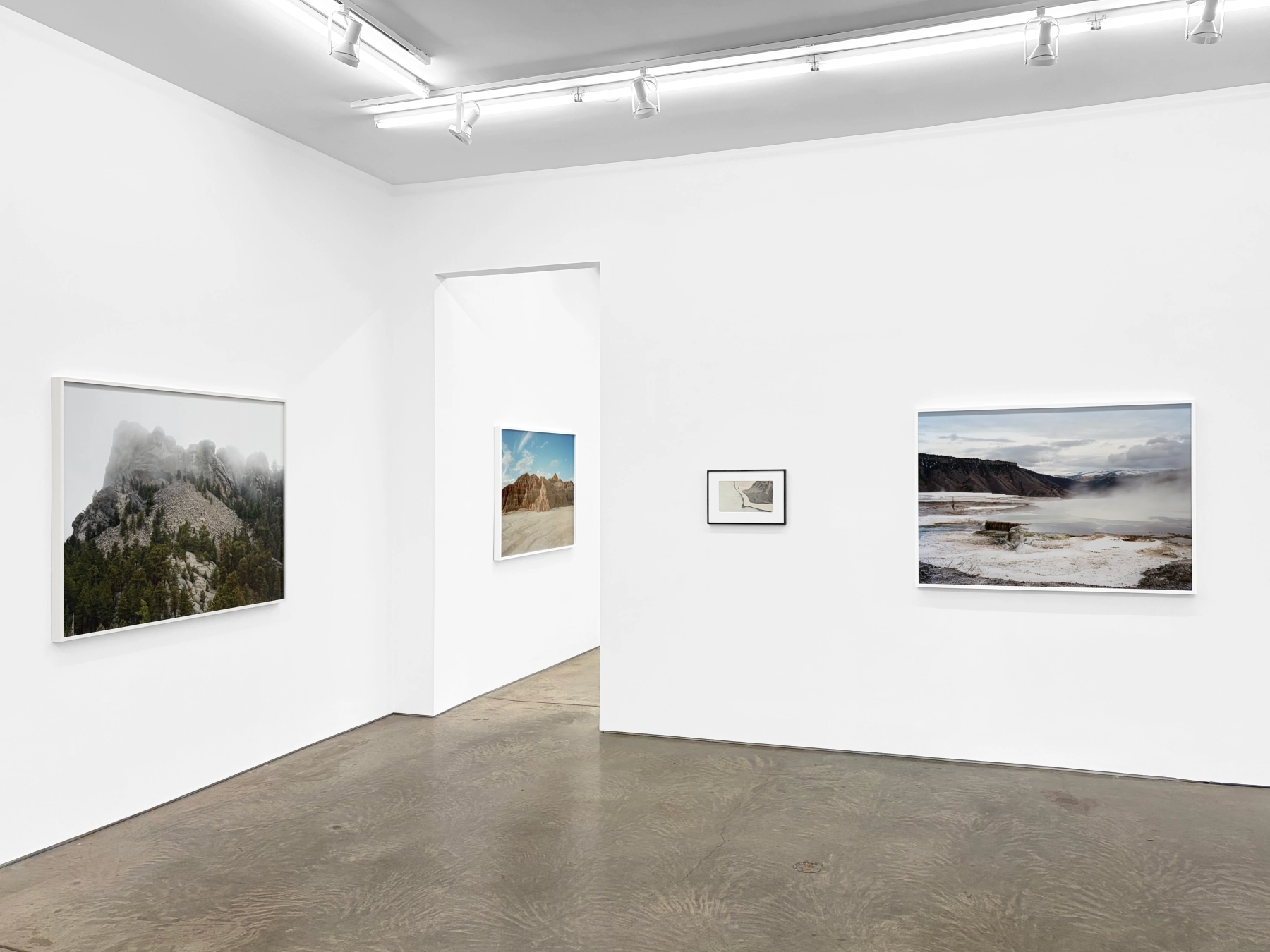 Image for Manifest and Sublime, at Yancey Richardson Gallery