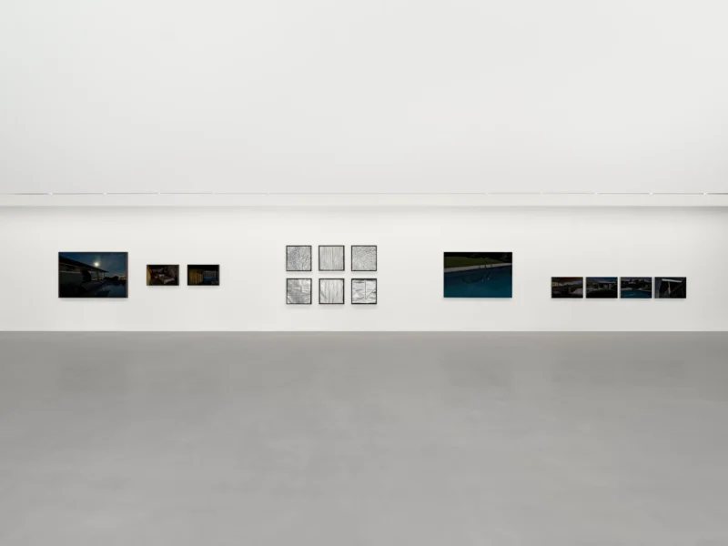 Installation shot from Lake Verea: Full Moon Party, @ Zander Galerie