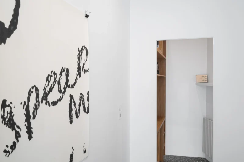 Installation shot from Molly Springfield: Commander Lowell, @ Zander Galerie