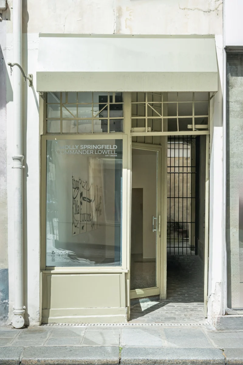 Installation shot from Molly Springfield: Commander Lowell, @ Zander Galerie