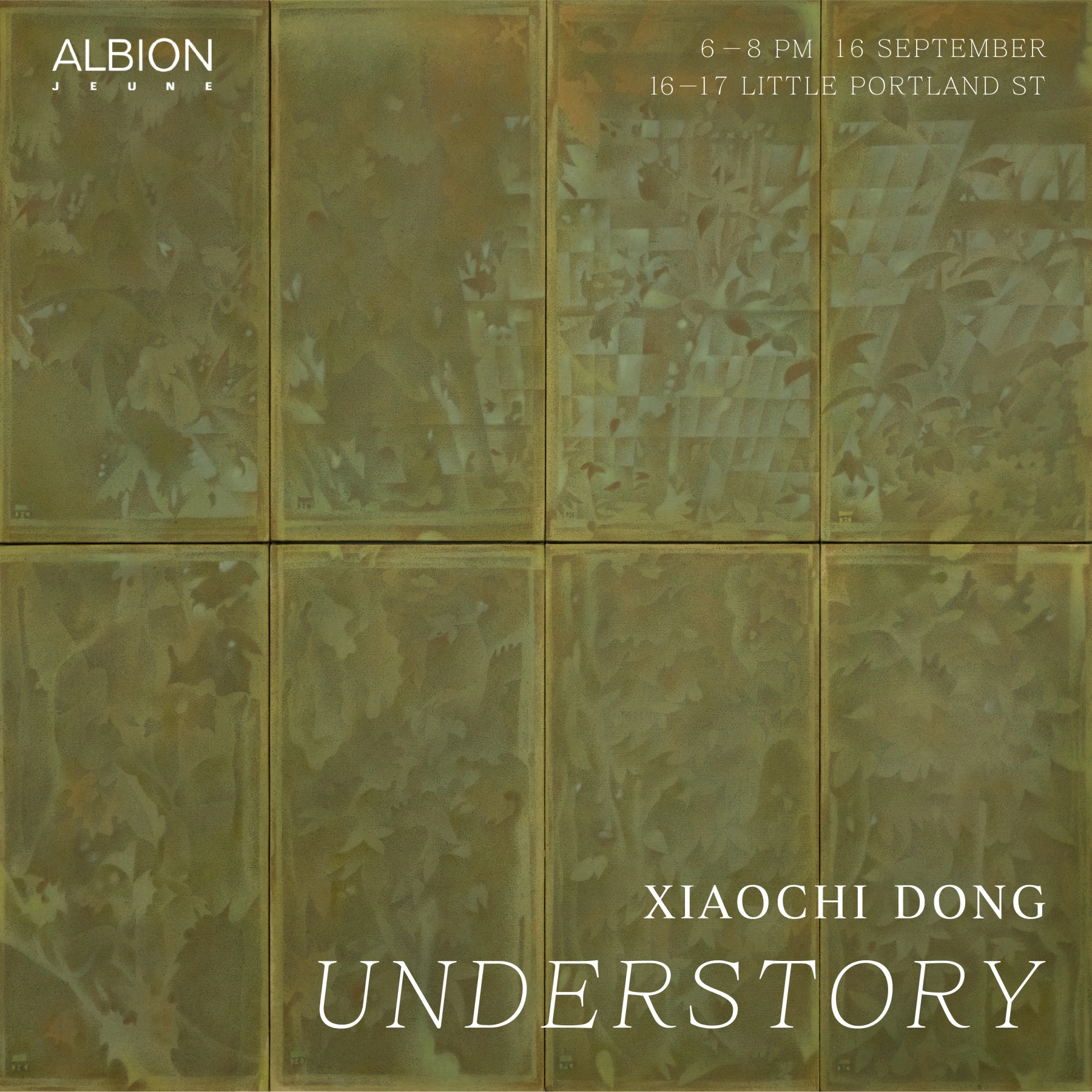 Image for Xiaochi Dong: Understory, at Albion Jeune