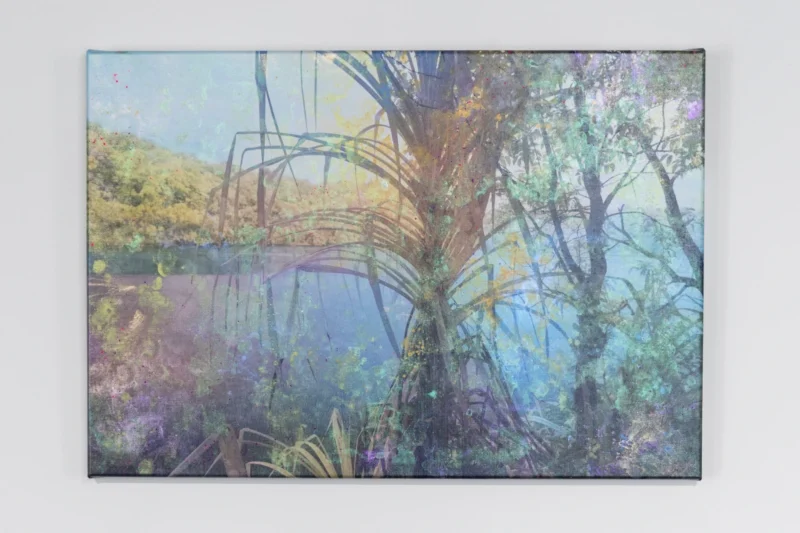 Danie Mellor, The water story place (bala bulin), 2026